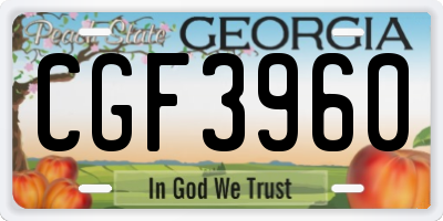 GA license plate CGF3960