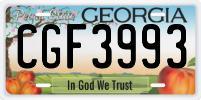 GA license plate CGF3993