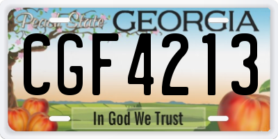 GA license plate CGF4213