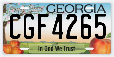 GA license plate CGF4265