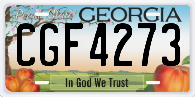 GA license plate CGF4273
