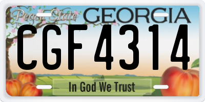 GA license plate CGF4314