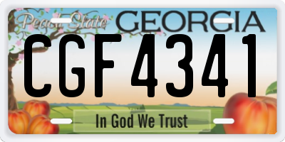 GA license plate CGF4341