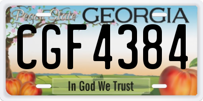 GA license plate CGF4384