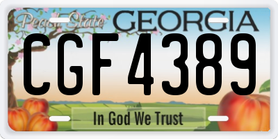 GA license plate CGF4389