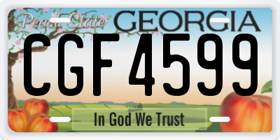 GA license plate CGF4599