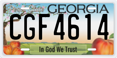 GA license plate CGF4614