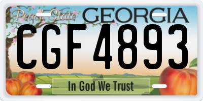 GA license plate CGF4893
