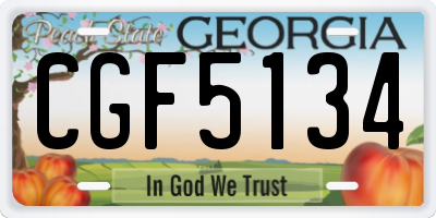 GA license plate CGF5134