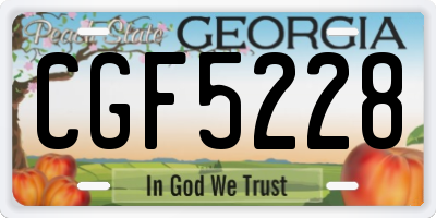 GA license plate CGF5228