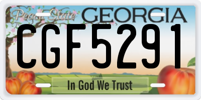 GA license plate CGF5291