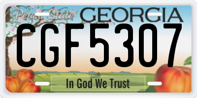 GA license plate CGF5307