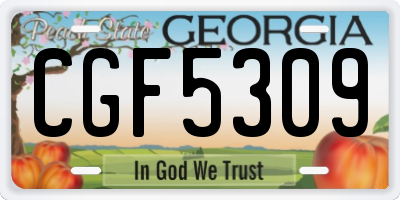 GA license plate CGF5309