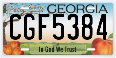 GA license plate CGF5384