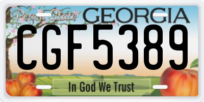 GA license plate CGF5389
