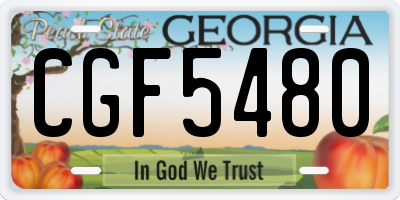 GA license plate CGF5480