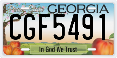 GA license plate CGF5491