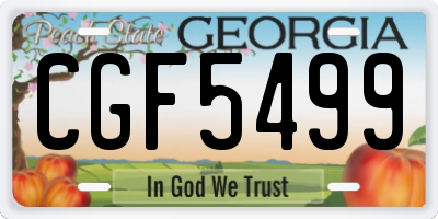 GA license plate CGF5499