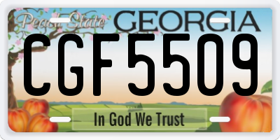 GA license plate CGF5509