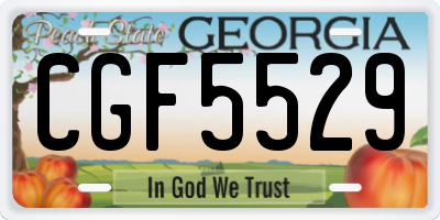 GA license plate CGF5529