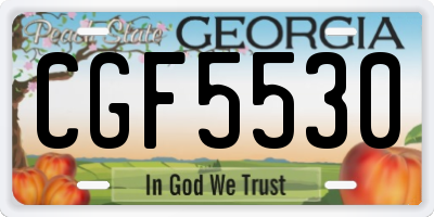 GA license plate CGF5530