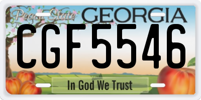GA license plate CGF5546