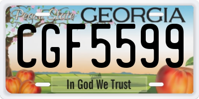 GA license plate CGF5599