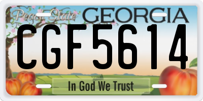 GA license plate CGF5614