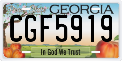 GA license plate CGF5919