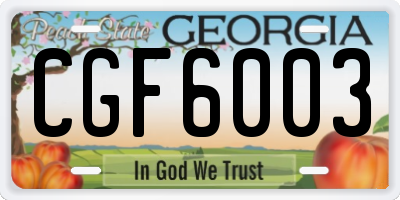 GA license plate CGF6003