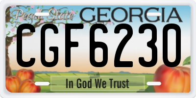GA license plate CGF6230