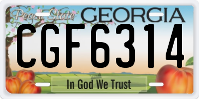 GA license plate CGF6314
