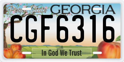 GA license plate CGF6316