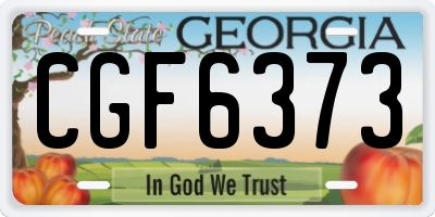 GA license plate CGF6373