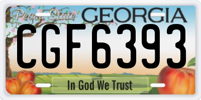 GA license plate CGF6393