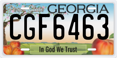 GA license plate CGF6463