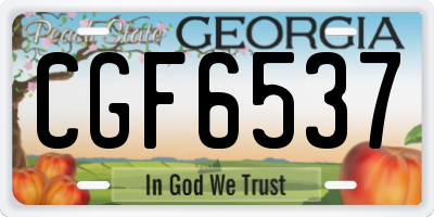 GA license plate CGF6537