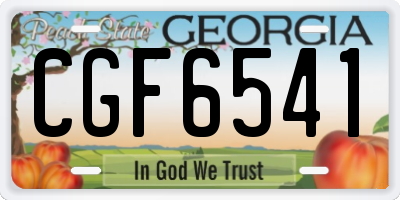GA license plate CGF6541