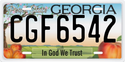 GA license plate CGF6542