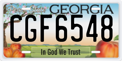 GA license plate CGF6548