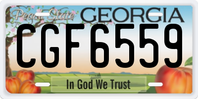 GA license plate CGF6559