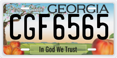 GA license plate CGF6565
