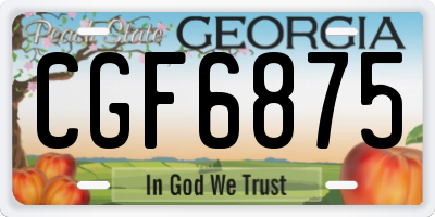 GA license plate CGF6875