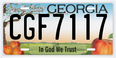 GA license plate CGF7117