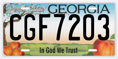 GA license plate CGF7203