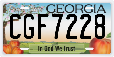 GA license plate CGF7228