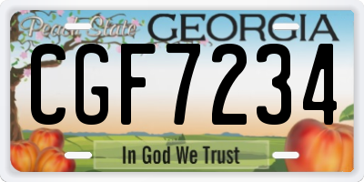 GA license plate CGF7234