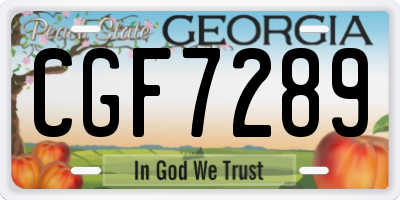 GA license plate CGF7289