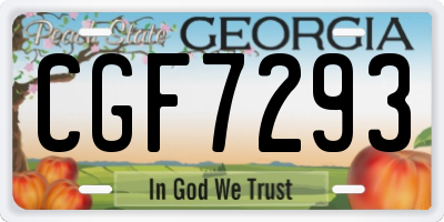 GA license plate CGF7293