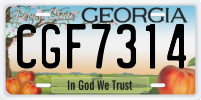 GA license plate CGF7314